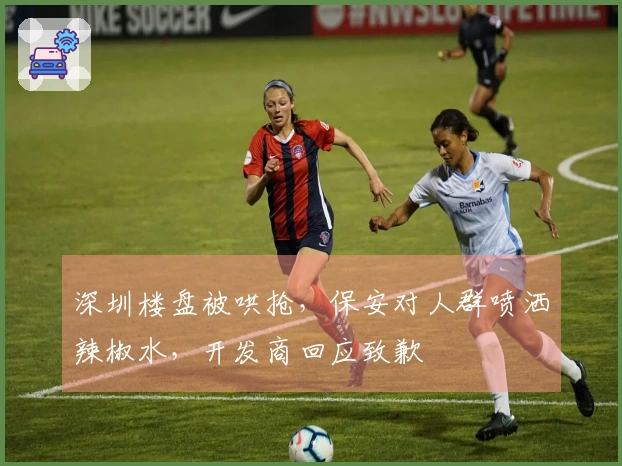 深圳楼盘被哄抢，保安对人群喷洒辣椒水，开发商回应致歉