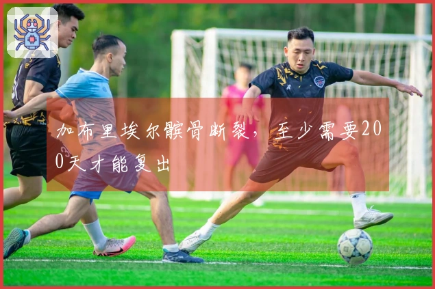 加布里埃尔髌骨断裂，至少需要200天才能复出
