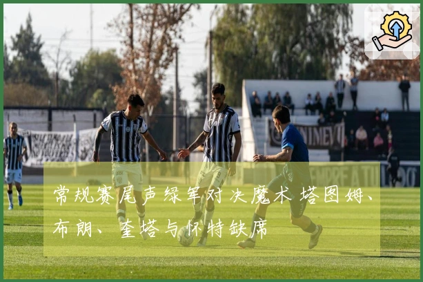 常规赛尾声绿军对决魔术 塔图姆、布朗、奎塔与怀特缺席